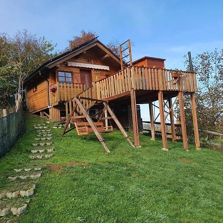 Gnezdo Vid-Ik Villa Catez ob Savi Exterior photo