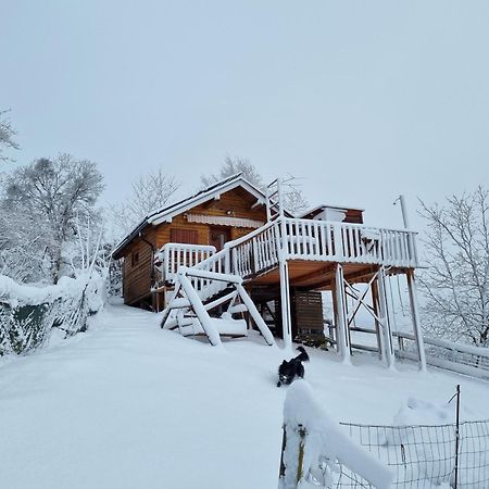 Gnezdo Vid-Ik Villa Catez ob Savi Exterior photo