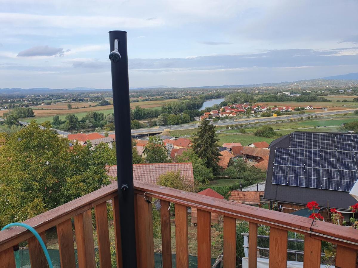 Gnezdo Vid-Ik Villa Catez ob Savi Exterior photo